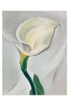 洋書 ia O'Keeffe $_12.JPG?set_id=880000500F